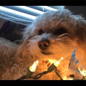 Meet your Posher, Edith